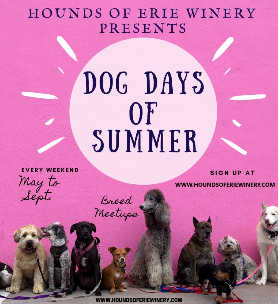 Dog Days of Summer 2024
